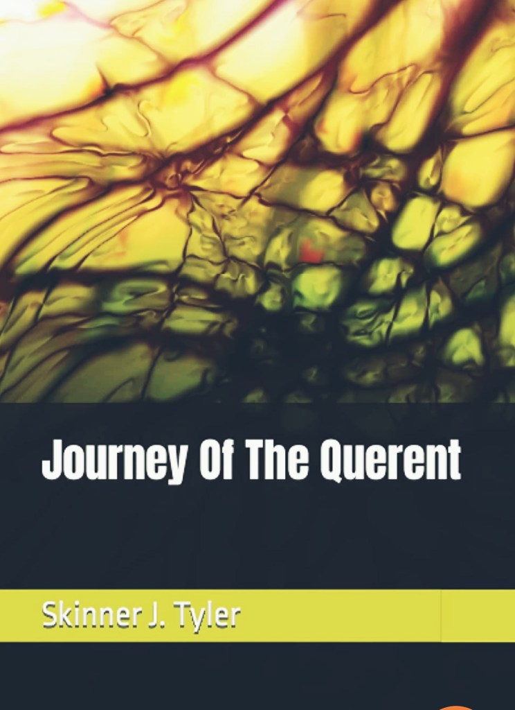 Journey Of The Querent by Skinner J.Tyler and published by Coastal Agency 2022