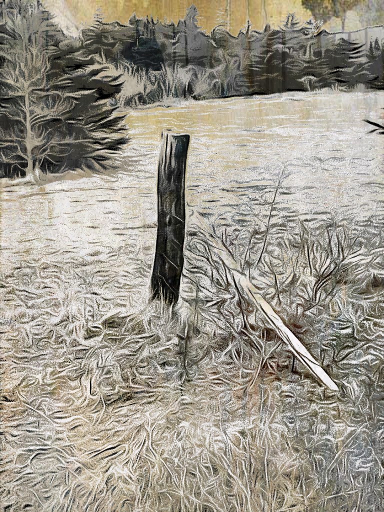 Dr. Digital Philosophy Original Capture 2022