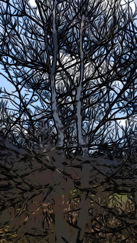 The tree outside during May 6th 2022